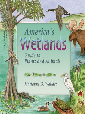 cover image of America's Wetlands